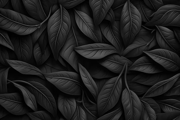 Image not loaded